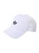 ADIDAS ORIGINALS Pet 'Adicolor Classic Curved Foam Trucker' zwart / wit
