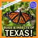 Bugs & Insects of Texas!: A My Incredible World Picture Book for Children