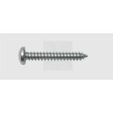 SWG Plaatschroeven 4.2 mm 38 mm Kruiskop Phillips DIN 7981 Staal Verzinkt 100 stuk(s)