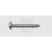SWG Plaatschroeven 4.2 mm 38 mm Kruiskop Phillips DIN 7981 Staal Verzinkt 100 stuk(s)