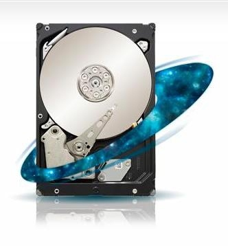 Seagate Constellation ST33000651SS