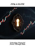 Fp&A Libri GmbH Fp&A Elite: Unlocking Financial Power Through Data