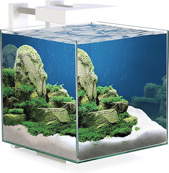 Ciano Nexus Pure LED 15 - Nano Aquarium - 14L