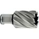 HSS-kernboor Metabo 626501000 Kernboor 13 mm 1 stuk(s)