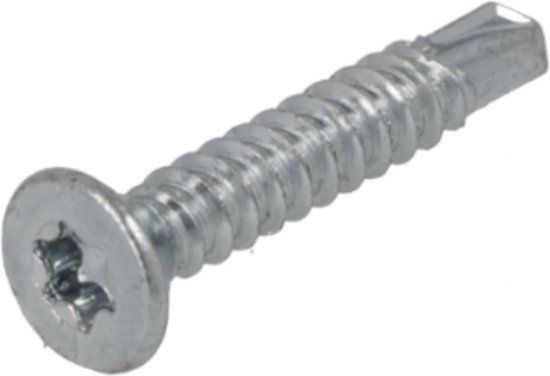 Proftec zelfb. Plaatschroef 4.2x19mm Verz. TX20 PK (200)