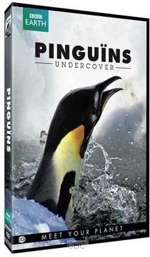 BBC Dutch Filmworks B.V. Pinguins Undercover