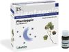 Plantaggio Dherbos Plantaggio Is 20 Viales