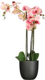 Mica Decorations Orchidee Kunstplant Roze - 75 cm - Inclusief Bloempot Titanium Grijs Glans