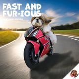Dayplanner Fast & Fur-ious Kalender 2027 Wandkalender Dieren nl
