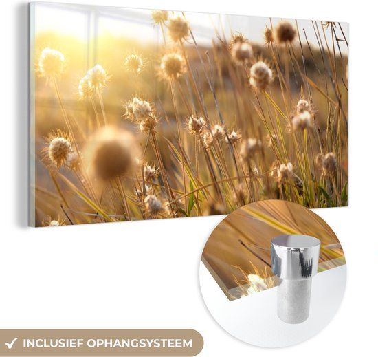 MuchoWow® Glasschilderij 120x60 cm - Acrylglas Schilderij - Planten - Natuur - Bloemen