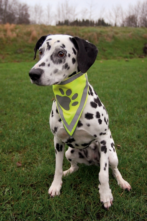 TRIXIE Neckerchief - Geel/Grijs - Polyester