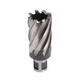 Evolution Power Tools lange serie brootsfrees voor magneetboor universeel passende magneetboorbit 50 mm lengte x 38 mm diameter