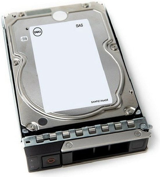 12TB DELL 161-BCJX interne harde schijf 3.5' 12 TB NL-SAS