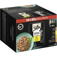 Sheba Selectie Mini Filets Natvoer Kat Volwassen, Mixpakket, Gevogelte Variatie, in Saus 24x85 g