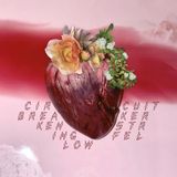 PIAS Nederland Ken Stringfellow - Circuit Breaker (LP)