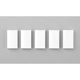 Ritto 1269691: Toetsenpaneel voor 1575272 (5 stuks)