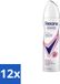 Rexona 12 x Deodorant Spray Advanced Protection Bright Bouquet - 150 ml