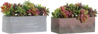 DKD Home Decor Decoratieve plant Grijs Bruin Multicolour EVA PE (23,5 x 11 x 14,5 cm) (2 Stuks)