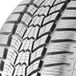 Sava Eskimo HP2 ( 205/65 R15 94H )