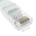 Cat.5e UTP AWG24 netwerkkabel, 25 cm