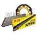 Kettingset DID Kettingset Stealth 525VX3 / 112 klinknagel slot goud voor Aprilia Caponord ABS ATC Rally 1200 cc Bj. 2013-2017