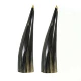 Mars & More Decoratie Koehoorn - 2x stuks - Natuur product - 25 cm