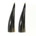 Mars & More Decoratie Koehoorn - 2x stuks - Natuur product - 25 cm