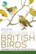RSPB RSPB Pocket Guide to British Birds