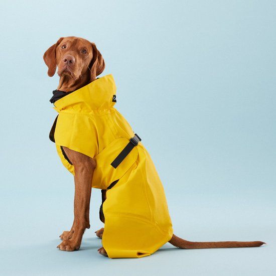PAIKKA Visibility Regenjas Lite yellow - Maat 25
