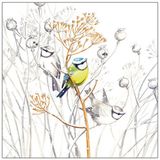 Ambiente Servetten Vogels - 20 stuks - 3 laags - 33 x 33 cm