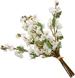 Loberon Decoratieve bloem set van 6 Bellévaut crème/bruin