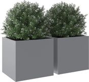 vidaXL Plantenbakken 2 st 32x30x29 cm gegalvaniseerd staal zilverkleur