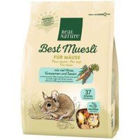 REAL NATURE Home Mueslimix voor muizen 500 g