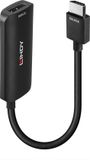 LINDY 38329 Adaptateur HDMI [1x HDMI - 1x DisplayPort, Micro-USB] Noir 0,157 m