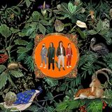Amazing Don Broco Amazing Things LP