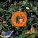 Amazing Don Broco Amazing Things LP