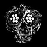 Decayed: Young Widows - Decayed: Ten Years Of Cities, Wounds, Lightness, And Pain (2 LP)