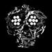 Decayed: Young Widows - Decayed: Ten Years Of Cities, Wounds, Lightness, And Pain (2 LP)