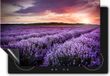 Chefcare Inductie Beschermer Bloemenveld met Paarse Lavendel - 89,6x51,6 cm