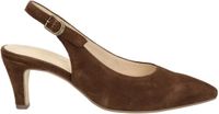 Gabor dames pump - Bruin - Maat 39