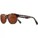 Lunettes de soleil Revo Zinger II