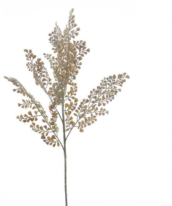Buitengewoon Boet Buitengewoon de Boet Wild Fern Spray Powder Groen 77 cm Kunsttak