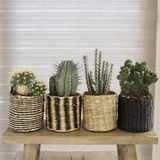 Mica Decorations Panier à plantes en rotin Ø10 x 9 cm