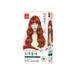 Jenny House Premium Hair Color Set - 12 Couleurs #9BO Brick Orange
