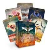 Mystic's Imaginarium Oracle Deck - 44 kaarten met gids voor manifestatie