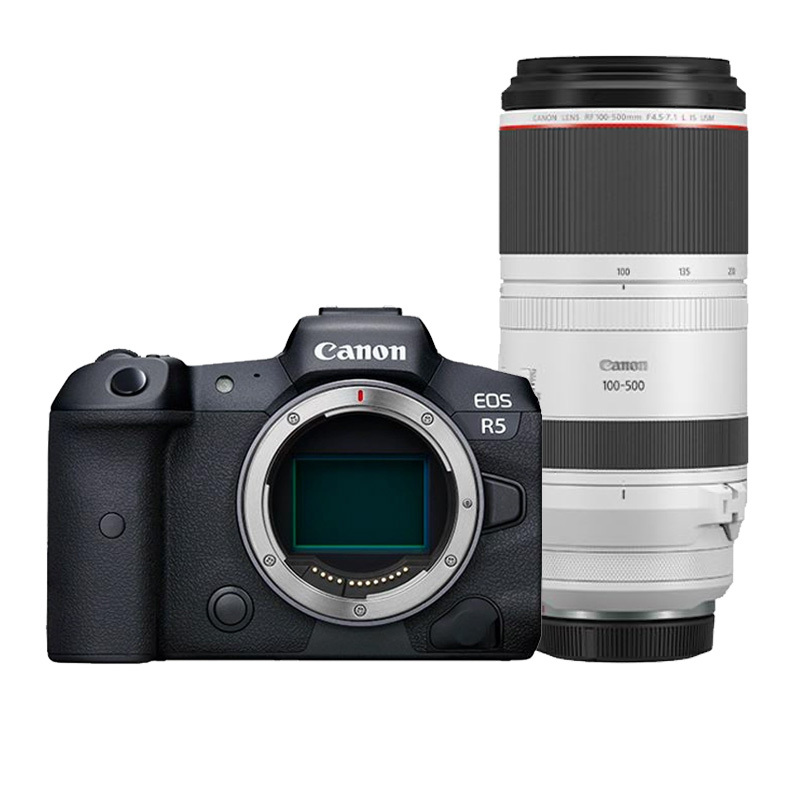 Canon Canon EOS R5 + RF 100-500mm F/4.5-7.1 L IS USM