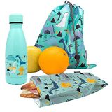 Nerthus FIH 1035 roestvrij stalen dubbelwandige fles set broodtas en rugzak kinderen dinosaurussen school