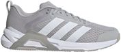 Adidas Performance Dropset Control Trainingsschoenen - Heren - Grijs