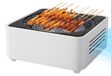 Barbecue à charbon portable pour camping et jardin