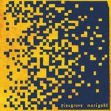Konkurrent Pinegrove - Marigold (LP)